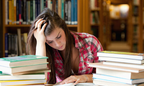 Test course title – Tựa bài học nơi đây